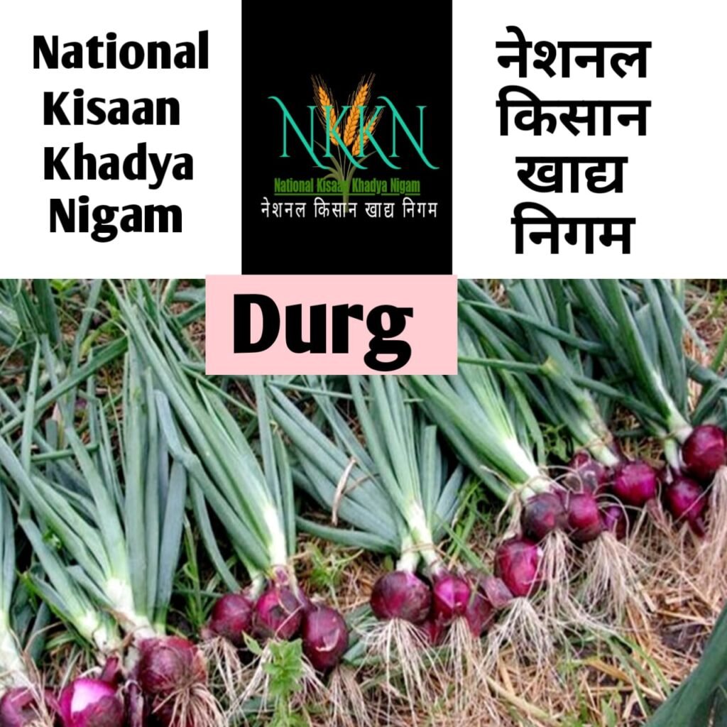 NKKN: National Kisaan Khadya Nigam Processing Unit in Durg District CHHATTISGARH